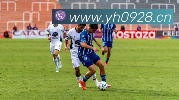 App Interface Preview